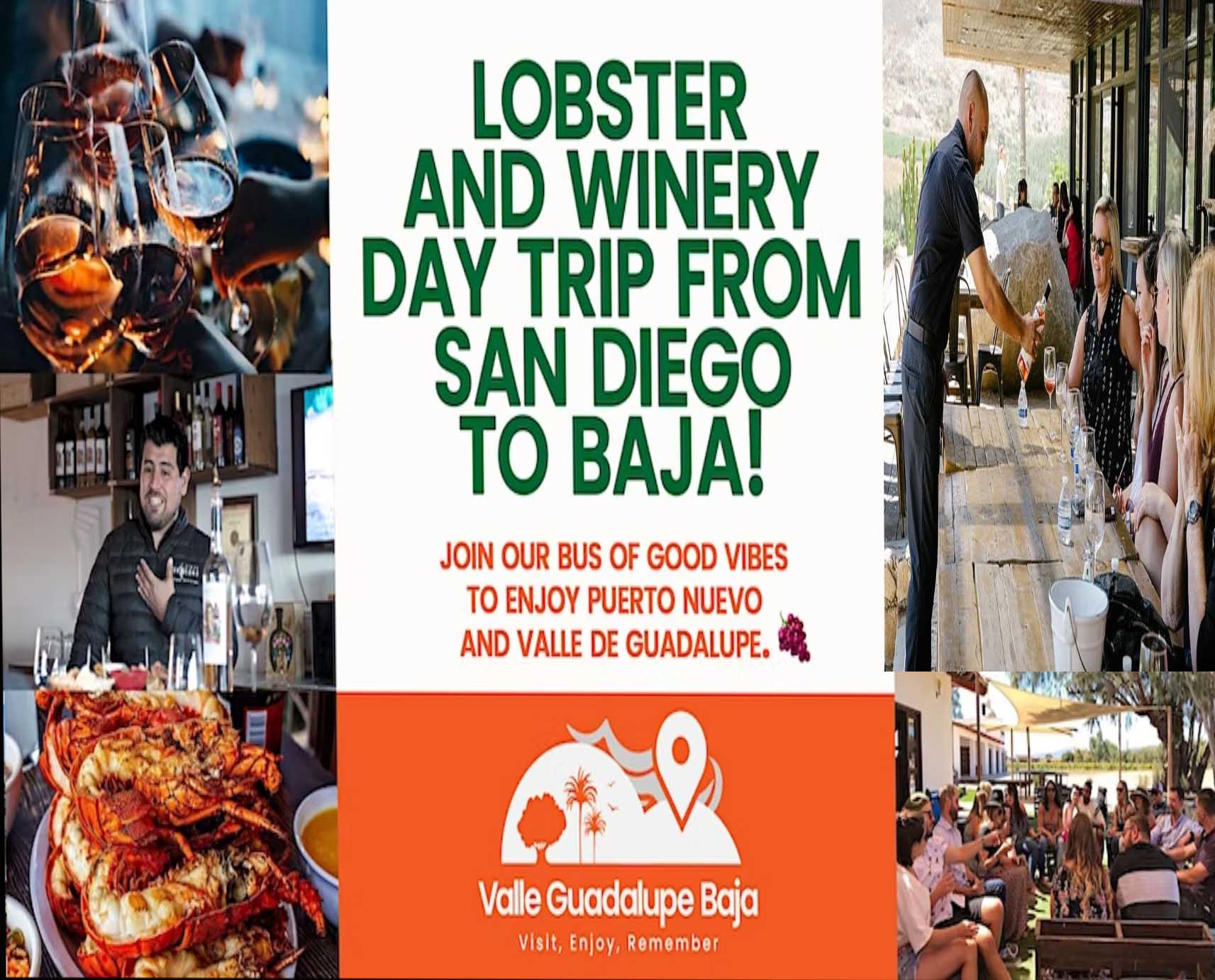 Lobster and Two Winery DayTrip from San Diego to Baja! All Inclusive!