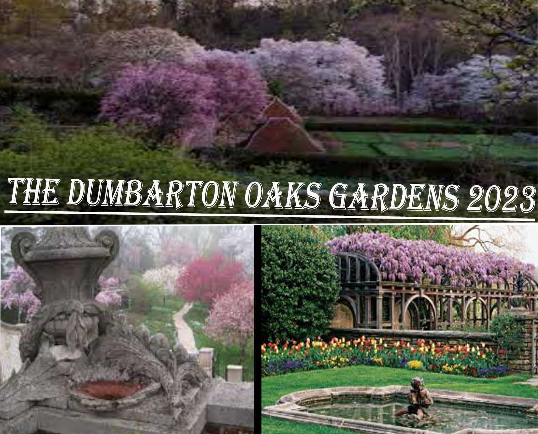 The Dumbarton Oaks Gardens CONCERT 2023The Dumbarton Oaks Gardens CONCERT 2023