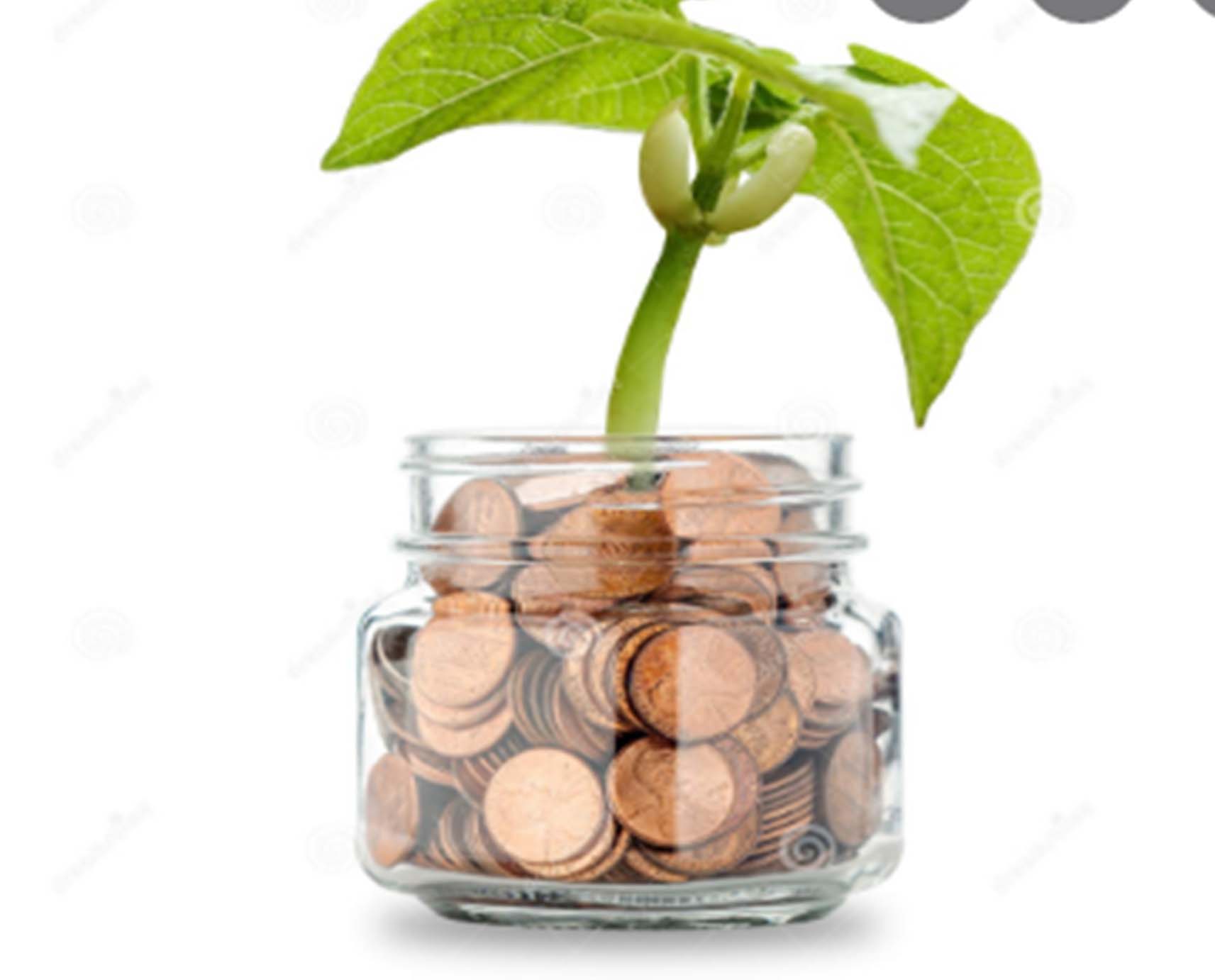 Money Tree . Accessing Abundance and Wealth using Family Constellations