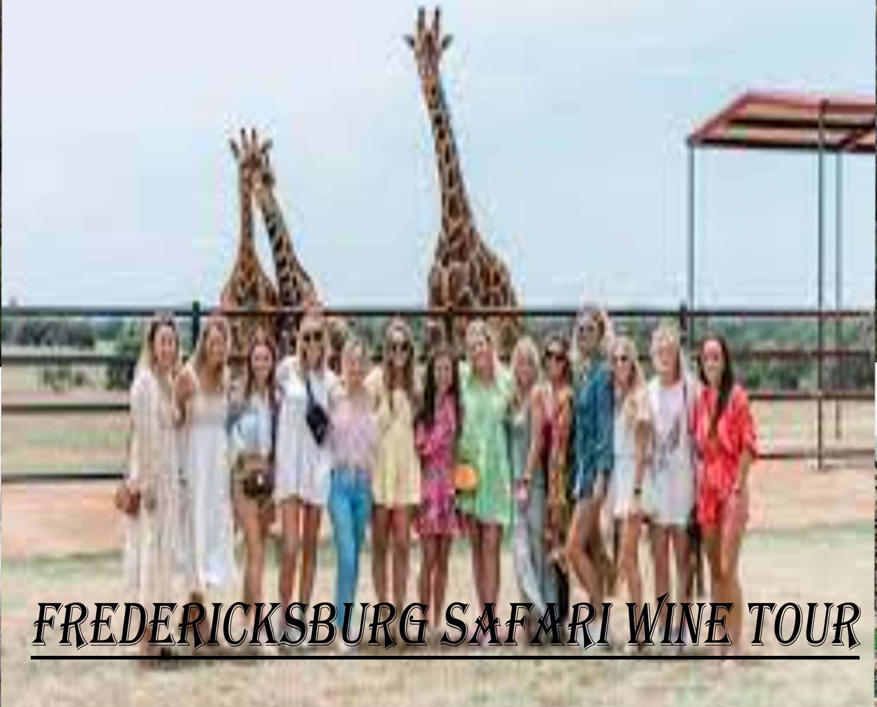 fredericksburg safari wine tour