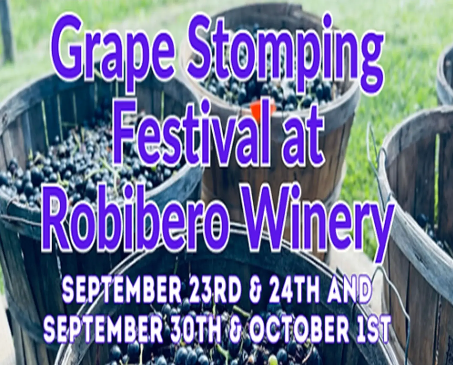 Grape Stomping Festival